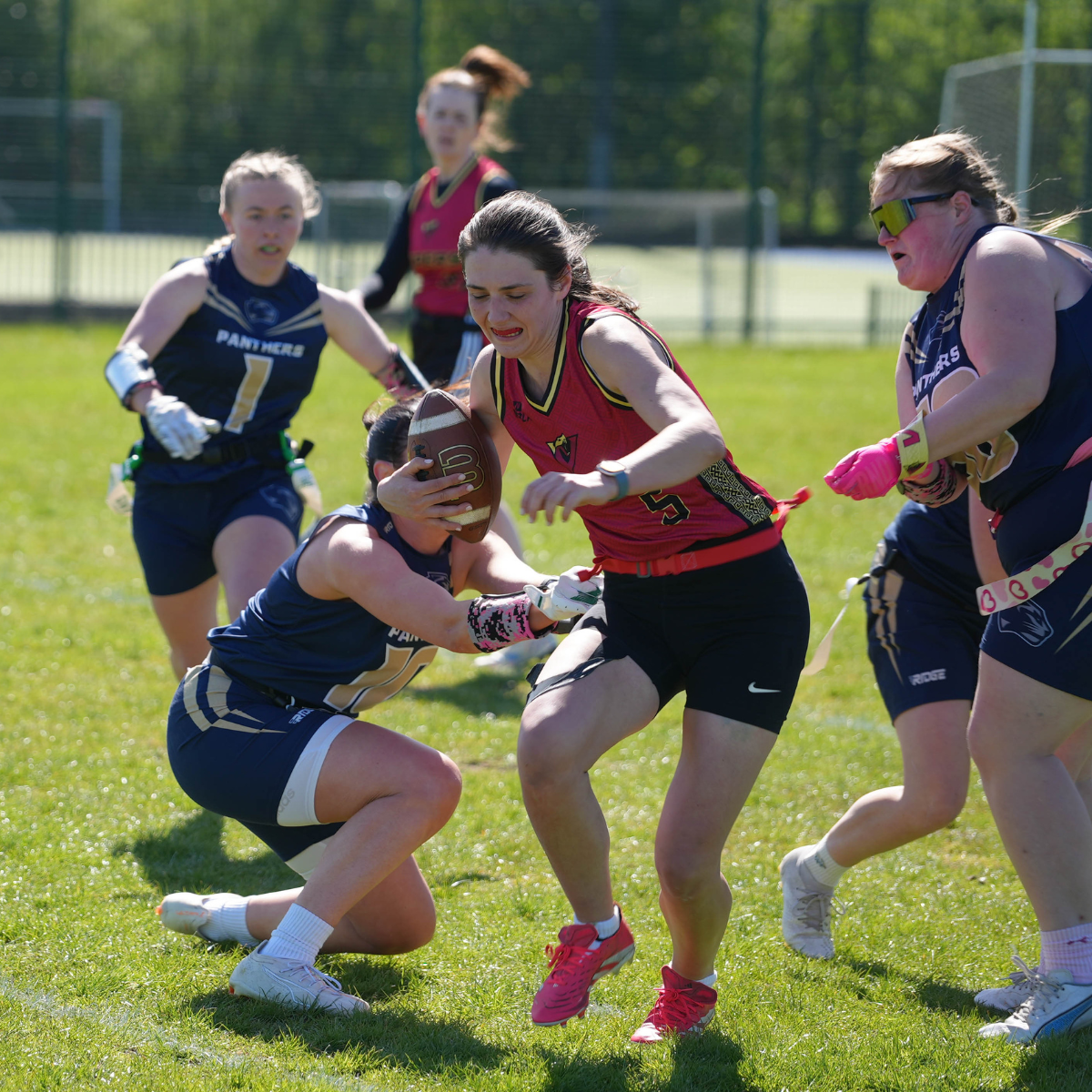 Vipers in action