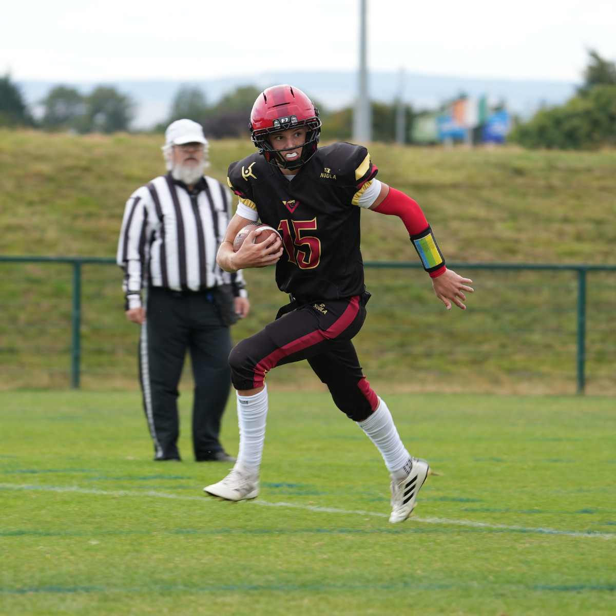Vipers in action