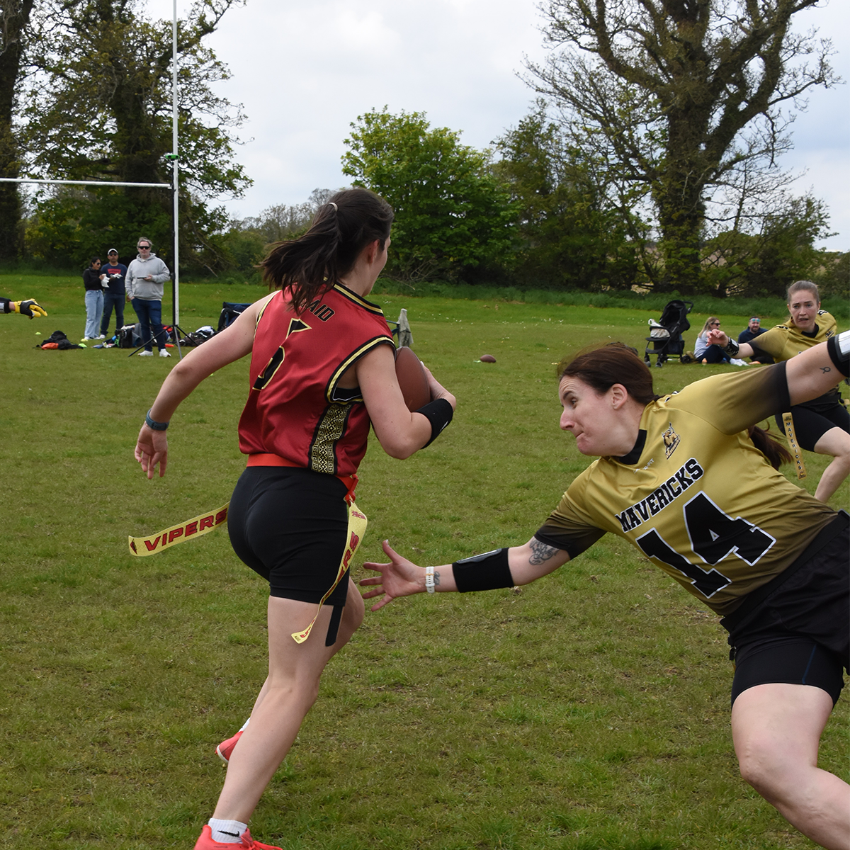 Vipers in action